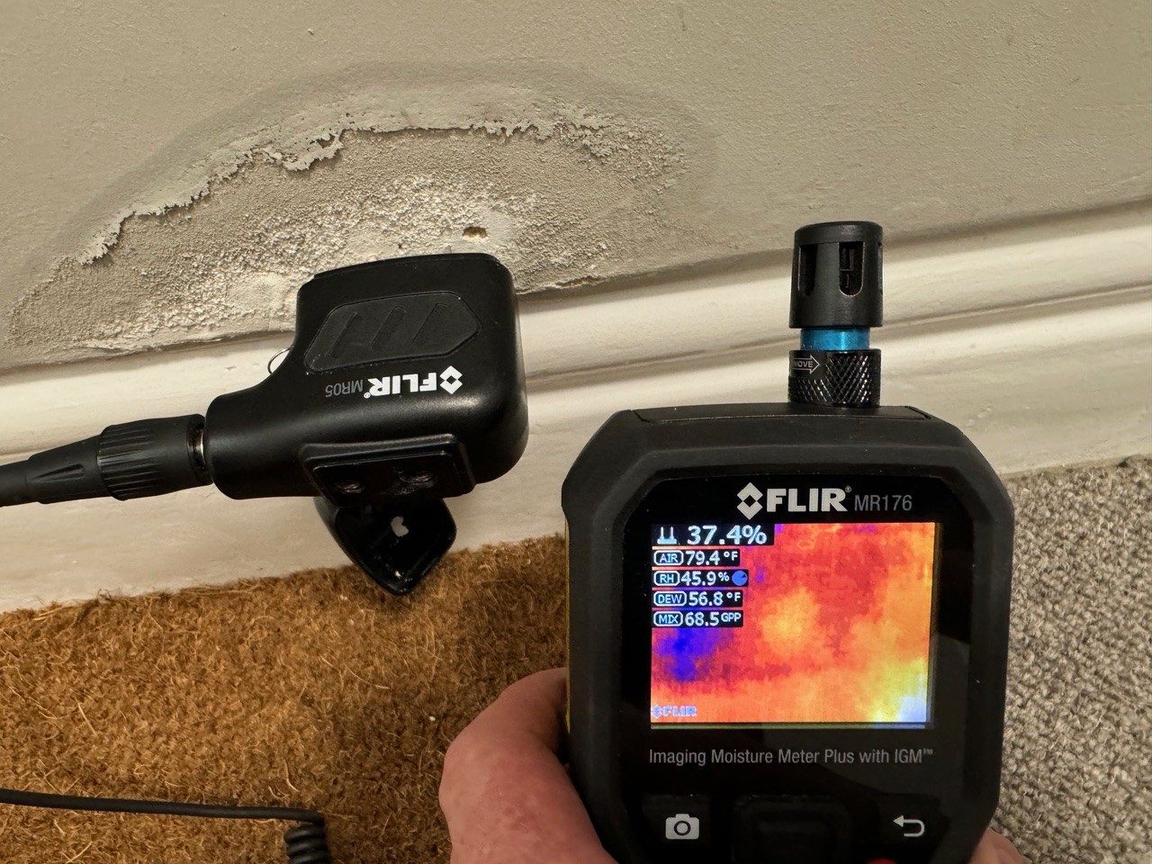Moisture meter and thermal reading taken on a damp wall